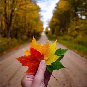 Meet your Posher, Bianca